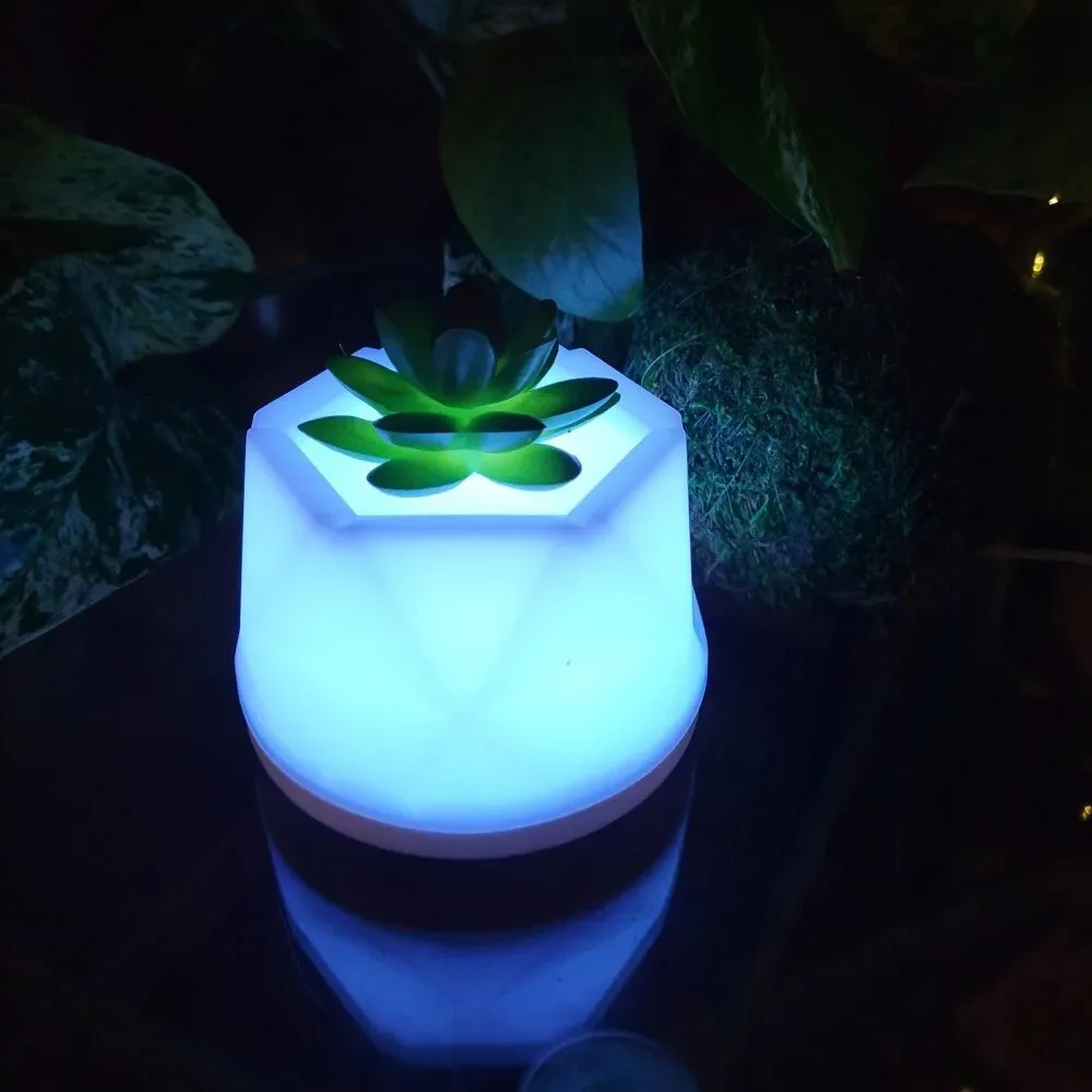 Succulent Color-Changing Night Light Lamp Waterless Essential Oil Diffuser Aroma